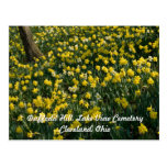 Daffodil Hill Cleveland Postcard