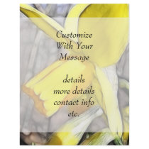 Daffodil In The Spring Woodlands Full Color Flyer