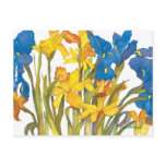 Daffodil &amp; Iris Postcard