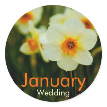 Daffodil • January Wedding Sticker by SabineStGreetings Daffodil • January Wedding Sticker