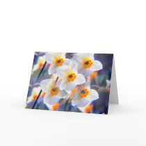 Daffodil Kalaidescope cards by photoinspiration Daffodil Kalaidescope cards