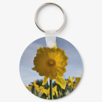 Daffodil keychains