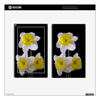 Daffodil Kindle Skin musicskins_skin