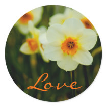 Daffodil • Love Sticker by SabineStGreetings Daffodil • Love Sticker