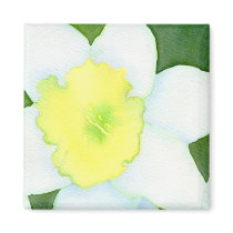 Daffodil Magnet
