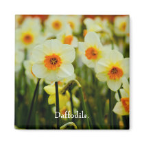 Daffodil Magnet by SabineSt Daffodil Magnet