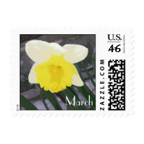 Daffodil March Birth Flower postage