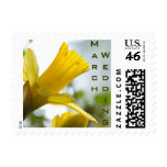 Daffodil • March Wedding Stamp