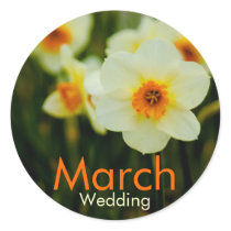Daffodil • March Wedding Sticker by SabineStGreetings Daffodil • March Wedding Sticker