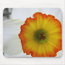 Daffodil mouse pad mousepads