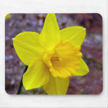 Daffodil mouse pad