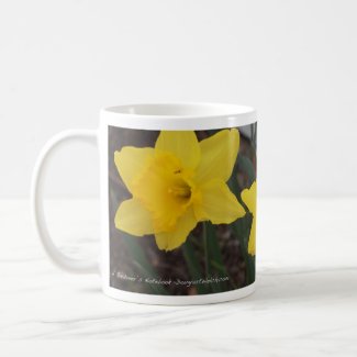 Daffodil Mug from A Gardener's Notebook