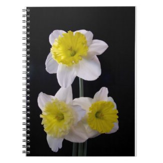 Daffodil Notebook fuji_notebook