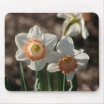 Daffodil Photo Mouse Pad mousepads by CharlottesPhotos Daffodil Photo Mouse Pad mousepads
