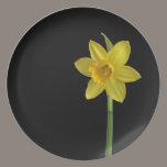Daffodil plates plates
