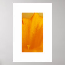 Daffodil Print