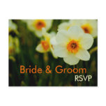 Daffodil • RSVP Postcard