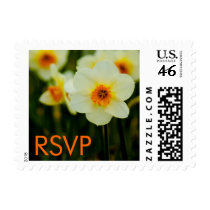 Daffodil • RSVP Stamp by SabineStGreetings Daffodil • RSVP Stamp