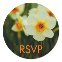 Daffodil • RSVP Sticker by SabineStGreetings Daffodil • RSVP Sticker