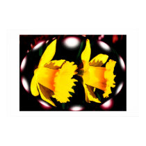 DAFFODIL SPIRITS posters by ANGELHELEN DAFFODIL SPIRITS posters