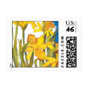 Daffodil square postge postage