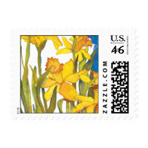 Daffodil square postge stamps