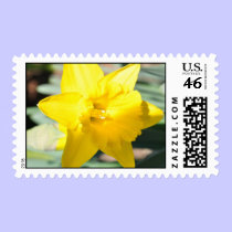 Daffodil Stamp stamps