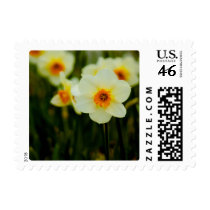 Daffodil Stamp by SabineSt Daffodil Stamp