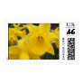 Daffodil stamp