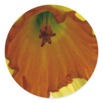 daffodil sticker