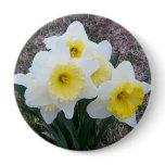 Daffodil Surprise! Button