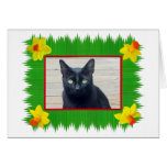 Daffodil Sushi Grass Photo Card cards