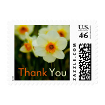 Daffodil • Thank You Stamp stamps