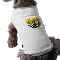 Daffodil Trio pet clothing