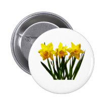 Daffodil Trio buttons
