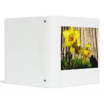 Daffodil Twins binders