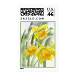 Daffodil Watercolor Art Postage Stamps