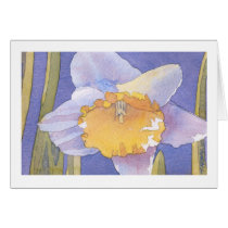 Daffodil Watercolor cards by tkrysak Daffodil Watercolor cards
