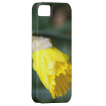 Daffodil With Water Droplets iPhone 5 Case