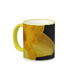 Daffodil With William Wordsworth Poem Ceramic Mug