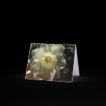 Daffodilly