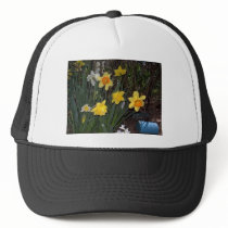 Daffodils 1 hats