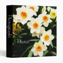 Daffodils 1" Photo Album 3 Ring Binder