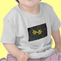 Daffodils 2 t-shirts