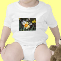 Daffodils 3 t-shirts