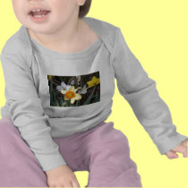 Daffodils 3 t-shirts