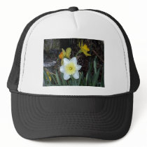 Daffodils 4 hats
