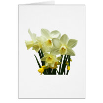 Daffodils and Buds cards