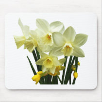 Daffodils and Buds mousepads