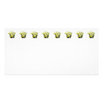 Daffodils and Buds photo cards